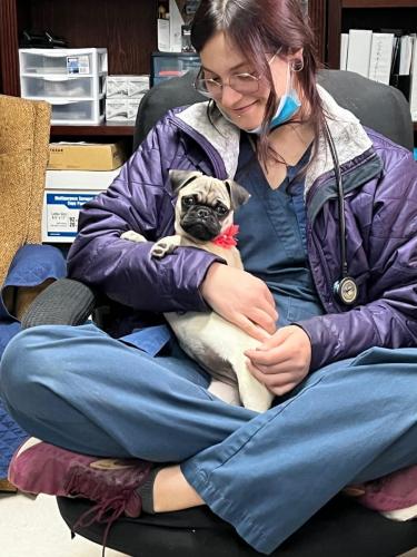 Mason Road Veterinary Clinic Community Mason Road Veterinary Clinic Community