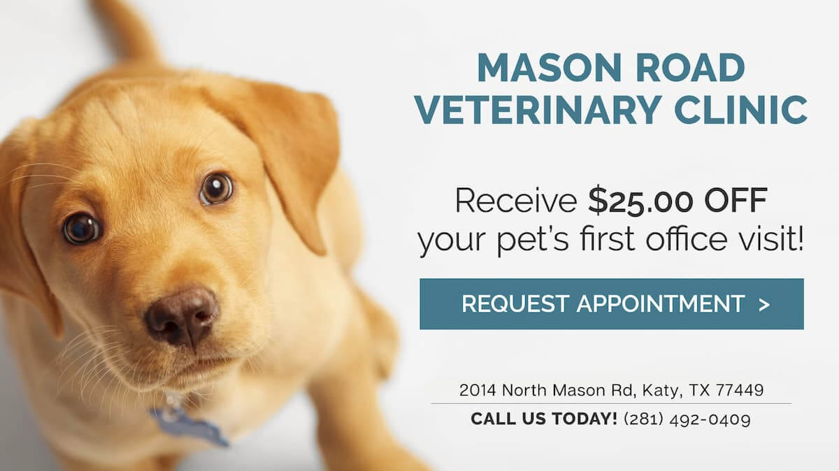 MRVC Request Appointment